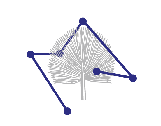 logo Céline Anglade