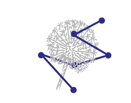 logo Céline Anglade