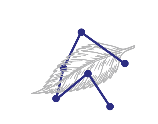 logo Céline Anglade